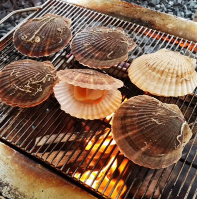 92바베큐 이미지