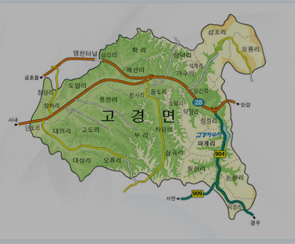 대성지엘주 이미지