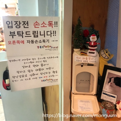 콩볶는야옹이 이미지