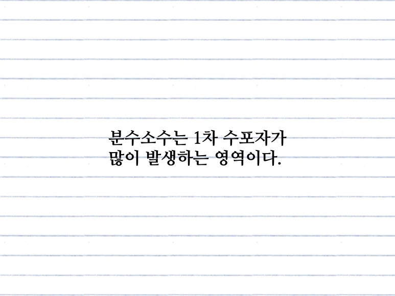 지수와로그 이미지