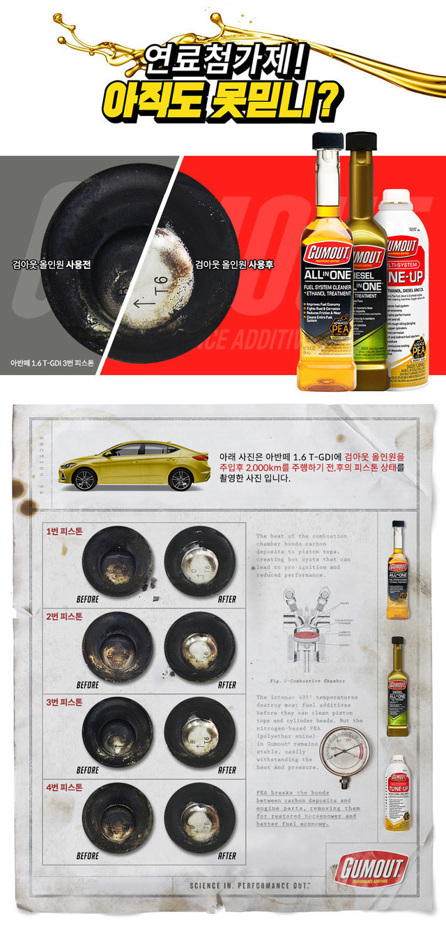 마이카게러지 이미지