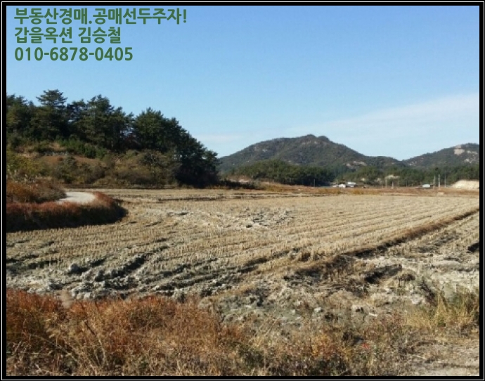 차우리다 이미지