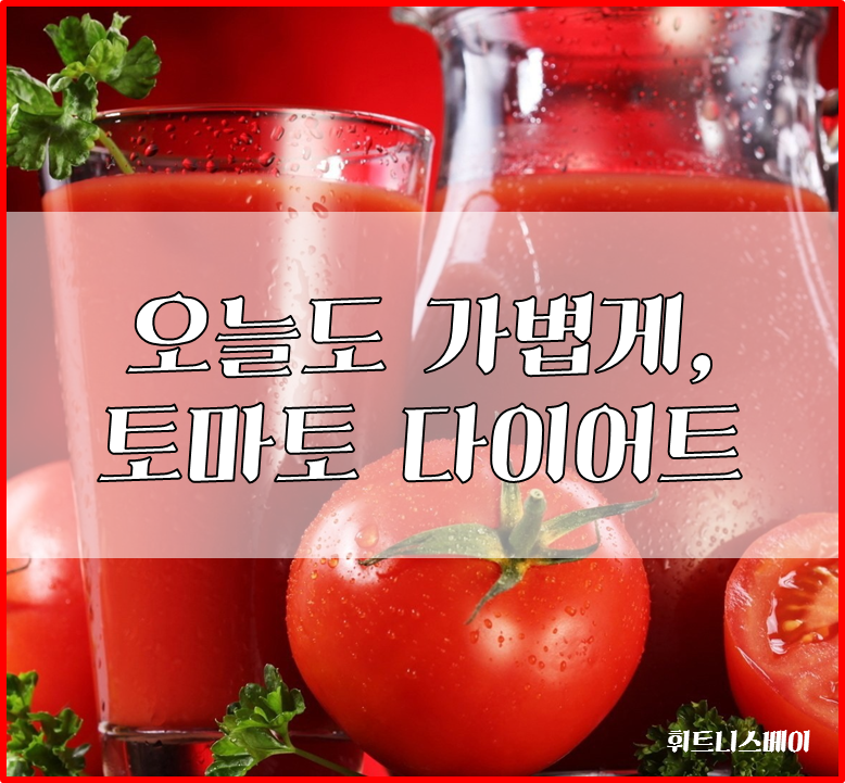 토마토휘트니스 이미지