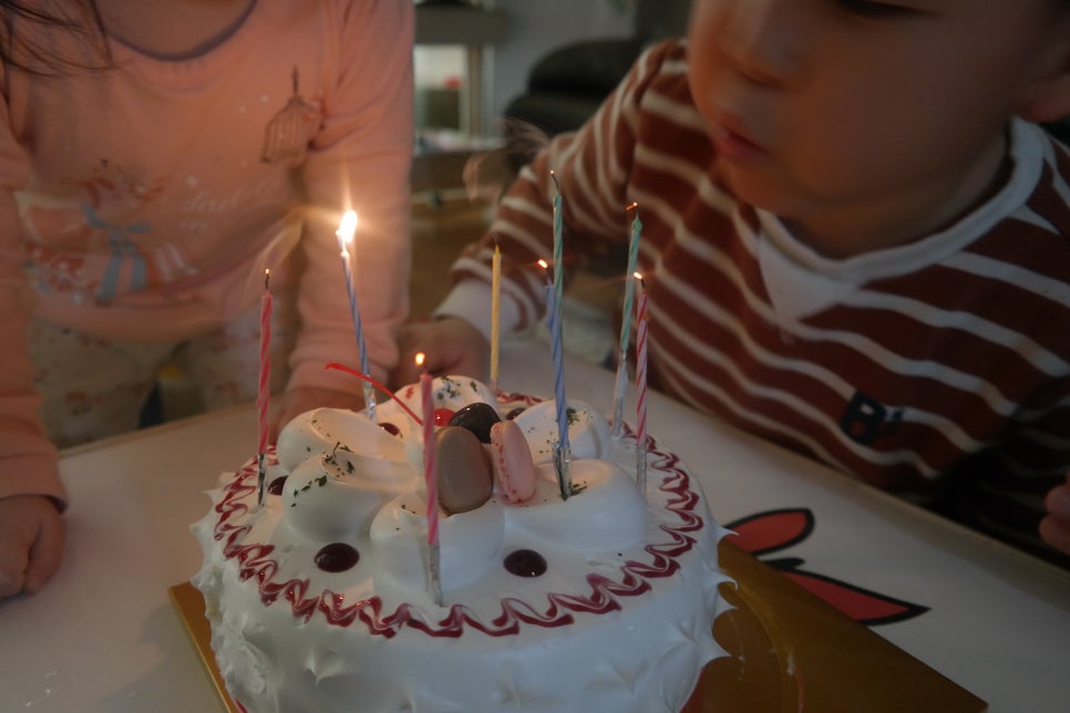 달보드레베이커리 이미지