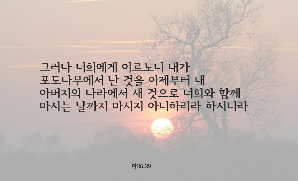 옥합 이미지
