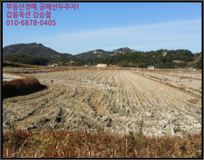 차우리다 이미지