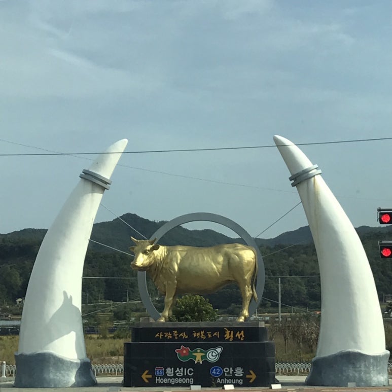 소야축산 이미지