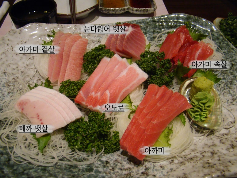 하참치 이미지