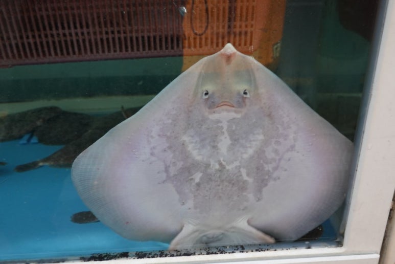 괭이바다횟집 이미지