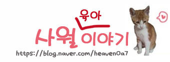 돈먹쇠 이미지