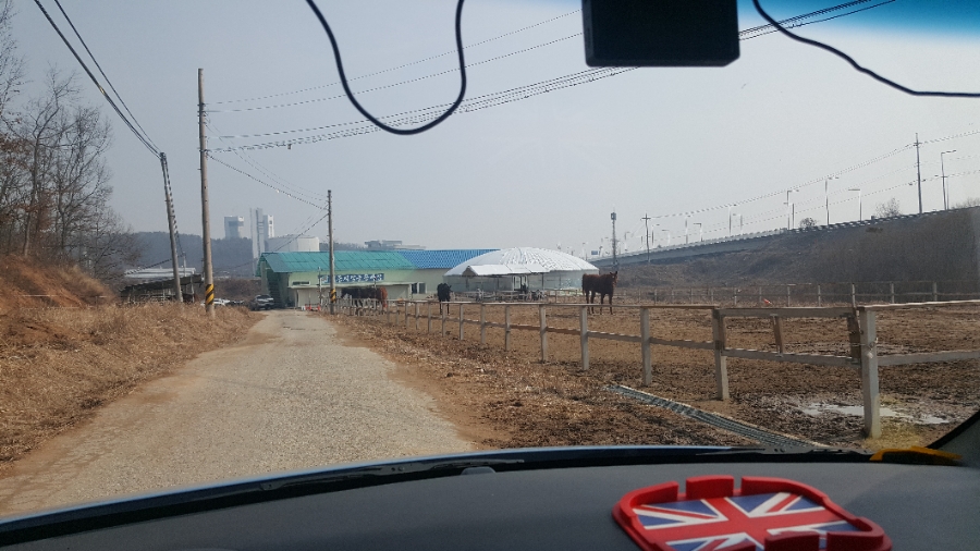 세종시장군승마장 이미지