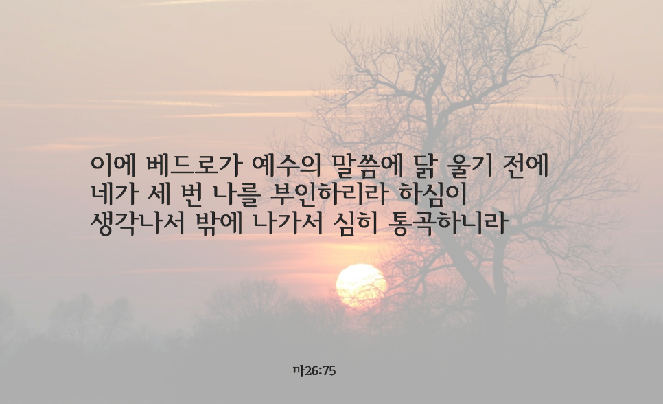 옥합 이미지
