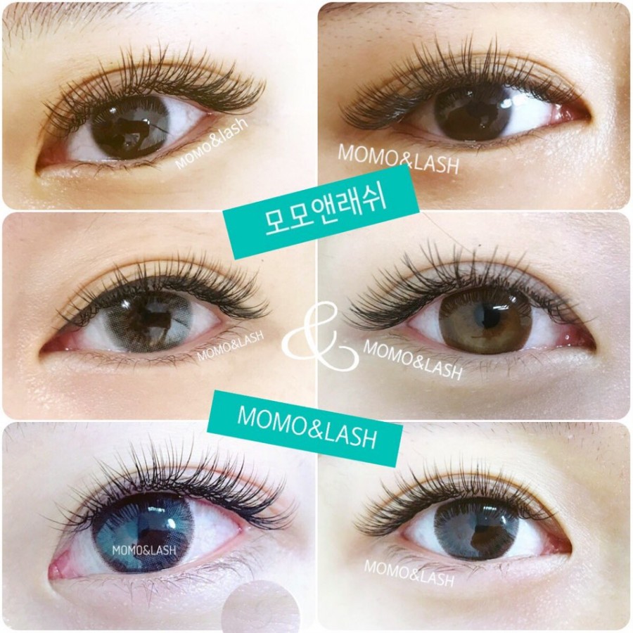 모모앤래쉬 이미지