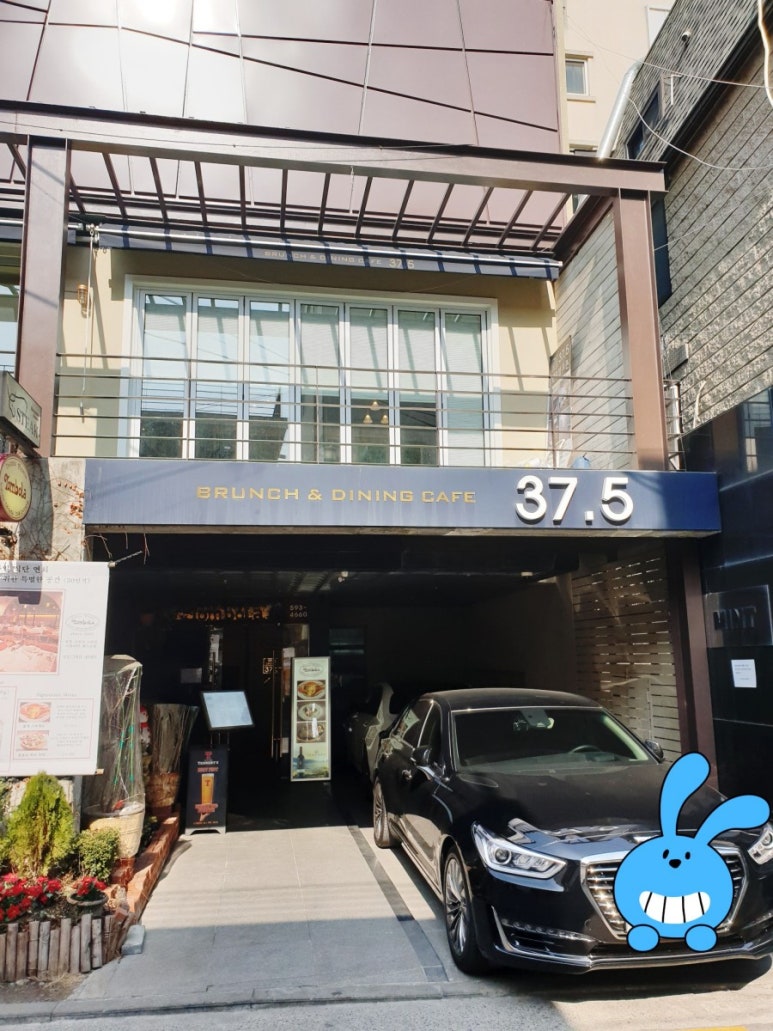 37.5서래 이미지