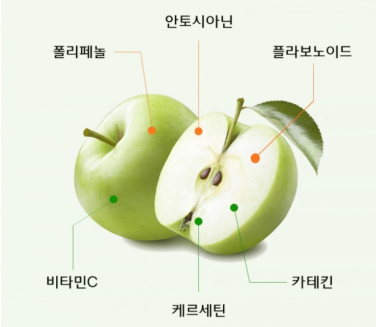 나린이네 사과 이미지