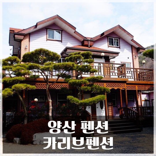 카리브펜션 이미지