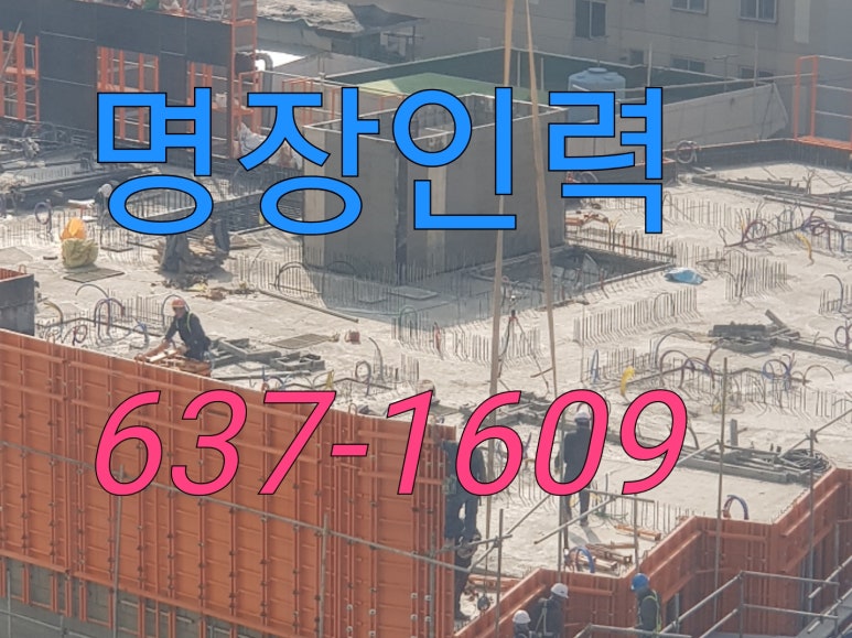 (주)개미인력 이미지