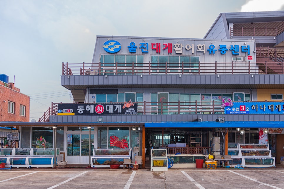 동해회대게수협1호 이미지