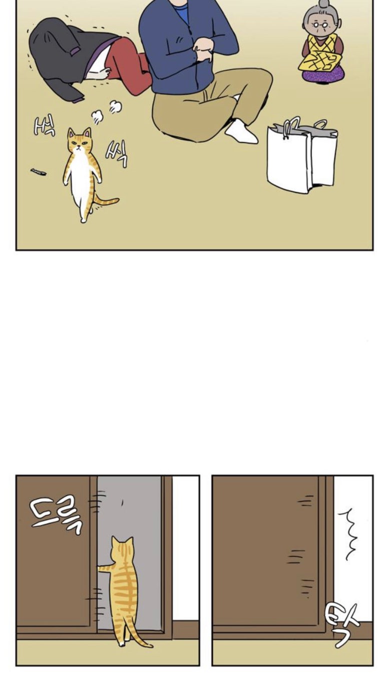 부가네얼큰이서사라점 이미지