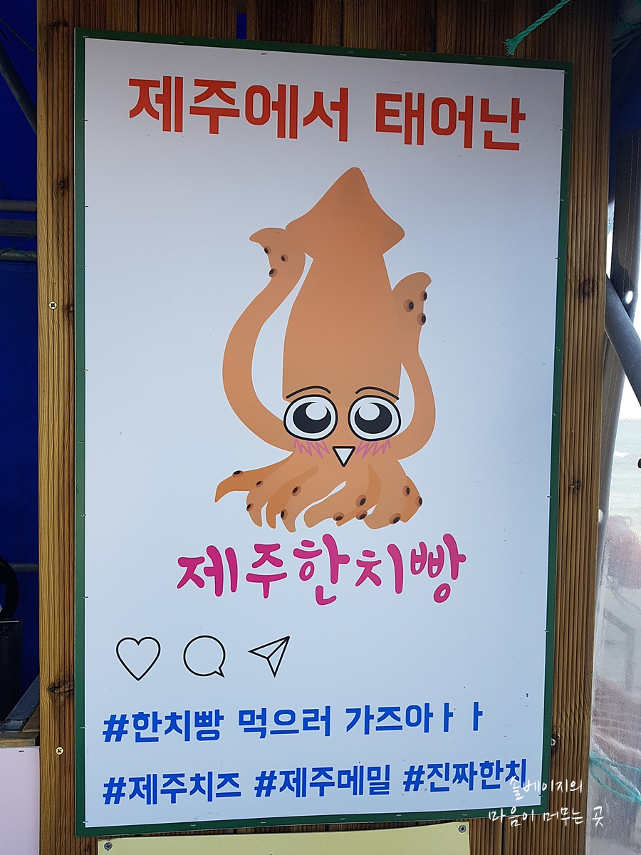제주한치빵 이미지