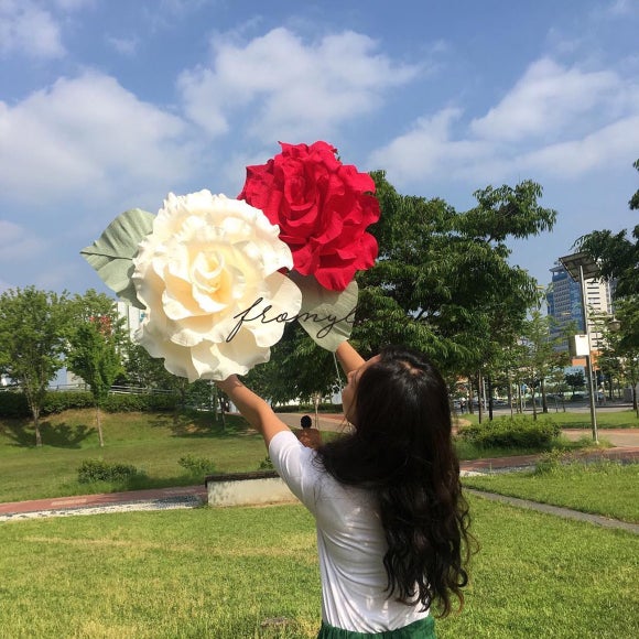 일랑 이미지