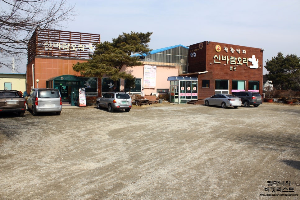 신바람오리 이미지