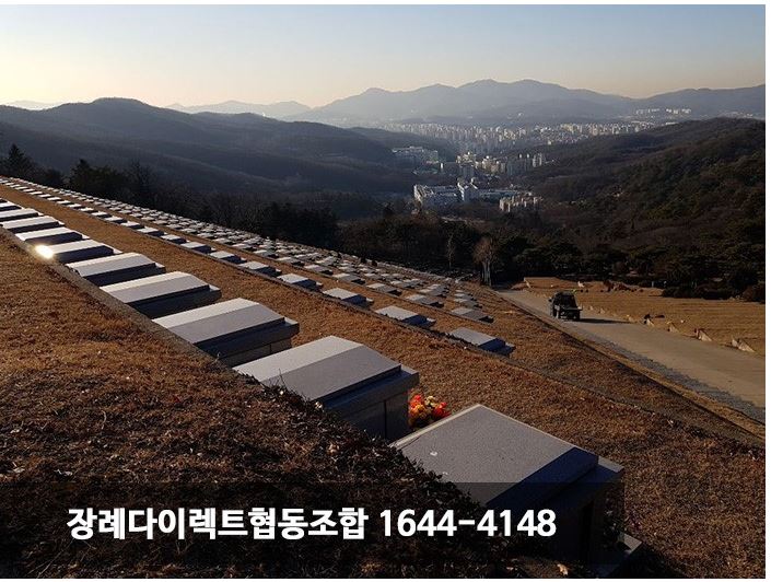 동국대학교의료원분당 이미지