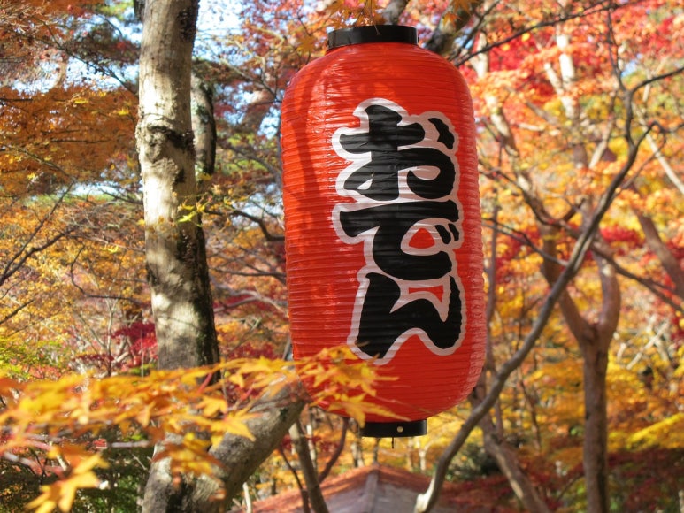 포오뎅 이미지