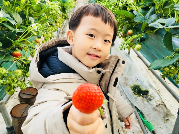 굿모닝농원 이미지
