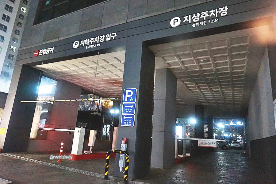 더비비드 이미지
