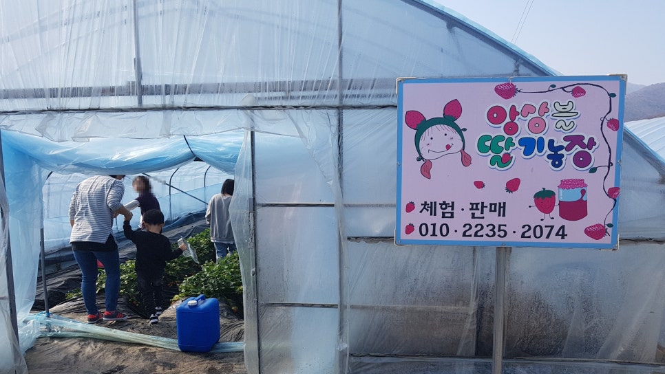 앙상블딸기농장 이미지