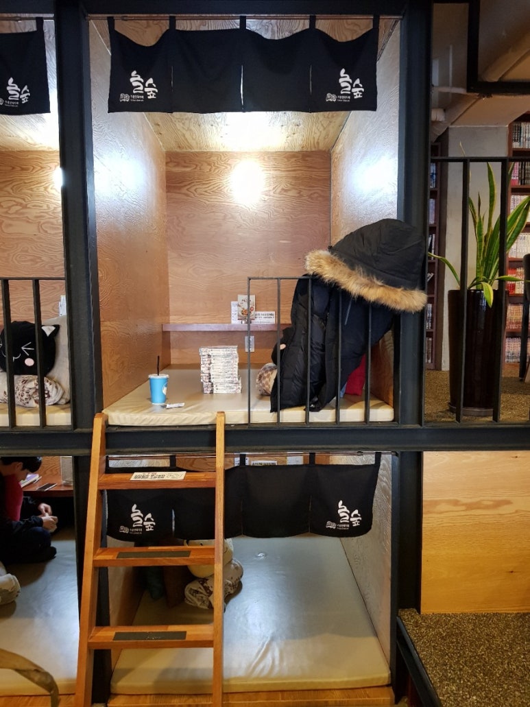 놀숲북카페 이미지