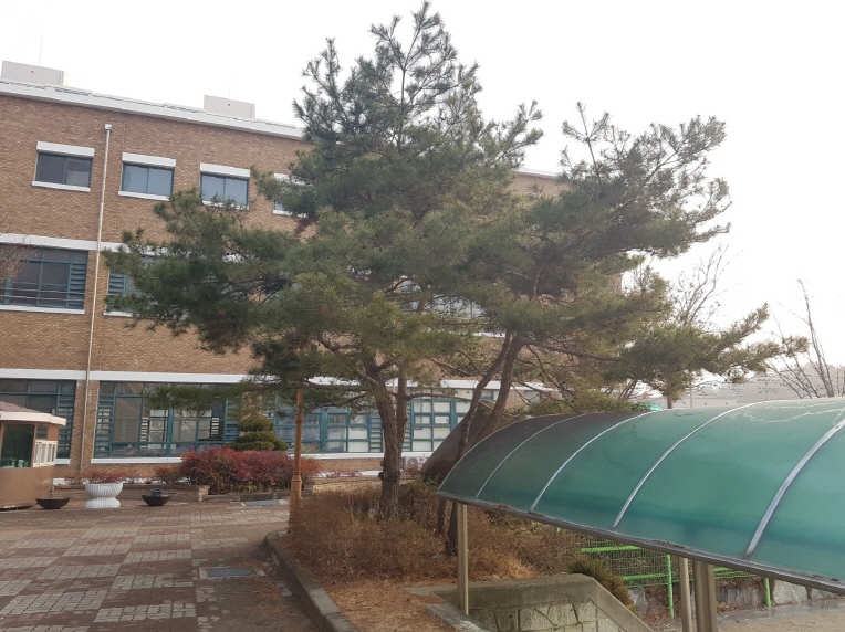 보림조경 이미지