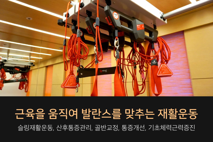 마디의원 이미지