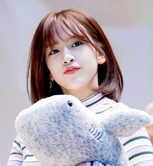 유진컴퓨터 이미지