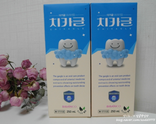 비바리코 이미지