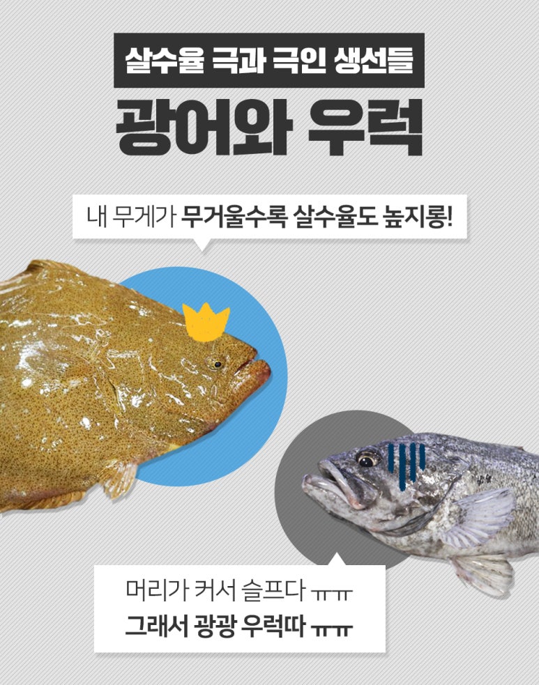 우리활어 이미지