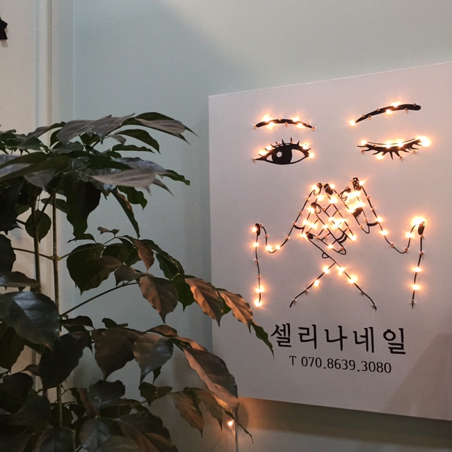 네일셀리나 이미지