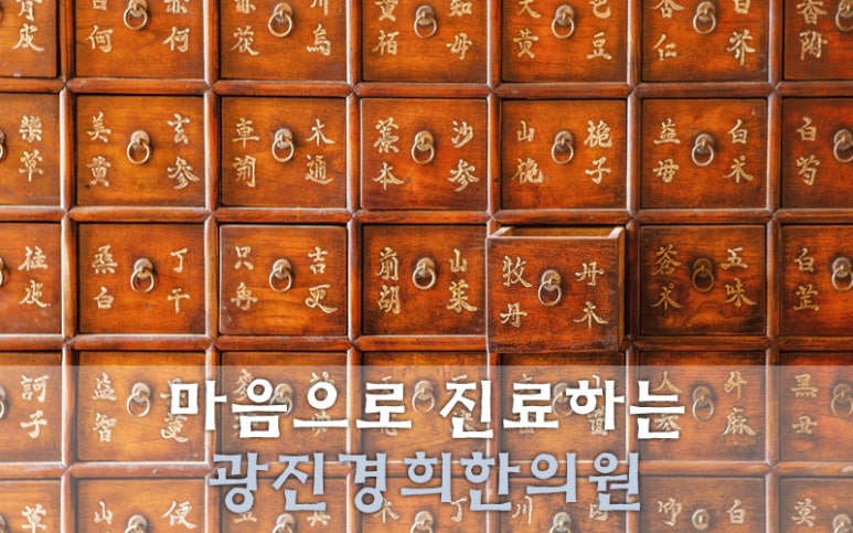 광진기전 이미지