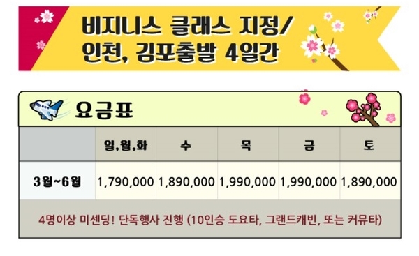 프린스항공여행사 이미지