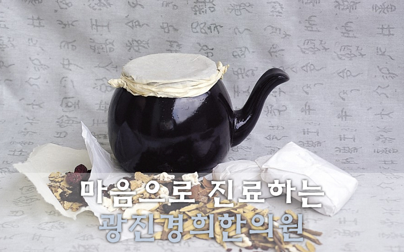 광진기전 이미지