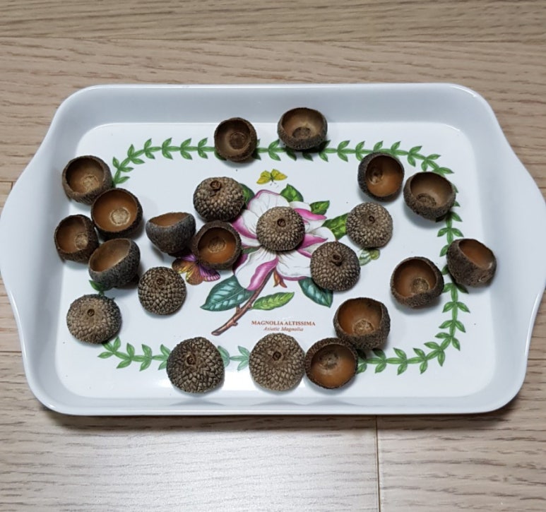 도토리퀼트 이미지