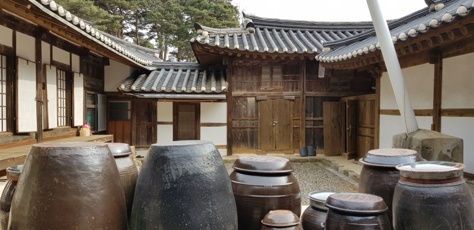 동원최군 이미지