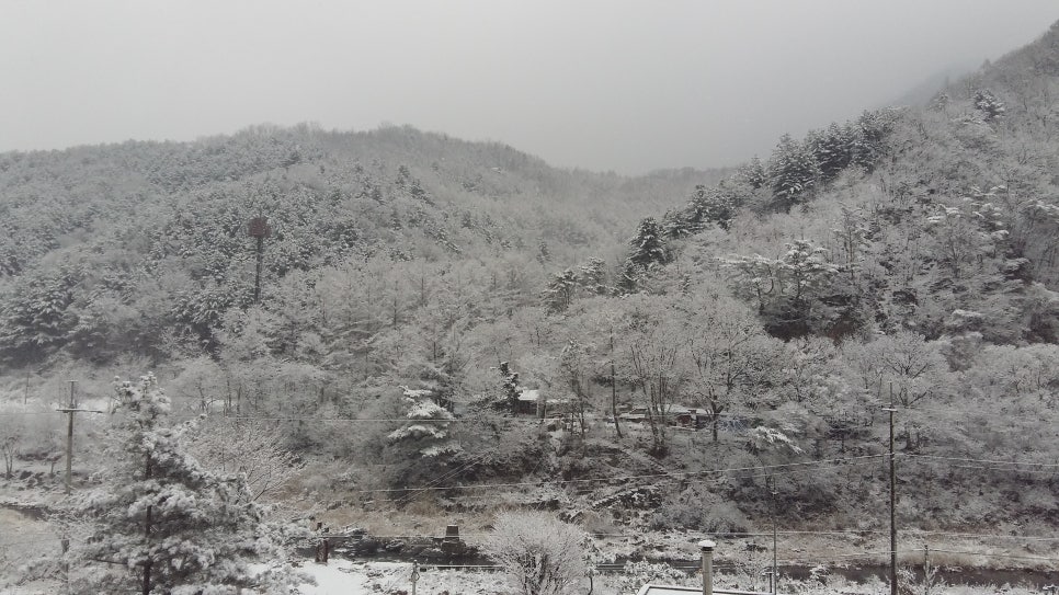 그림채펜션 이미지