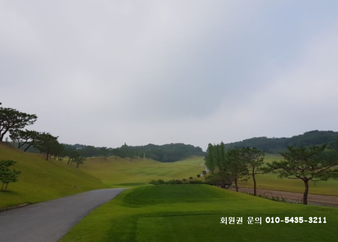 금강골프 이미지