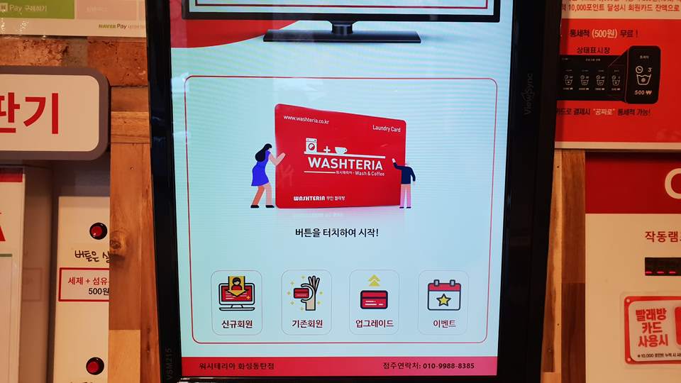 워시테리아 이미지