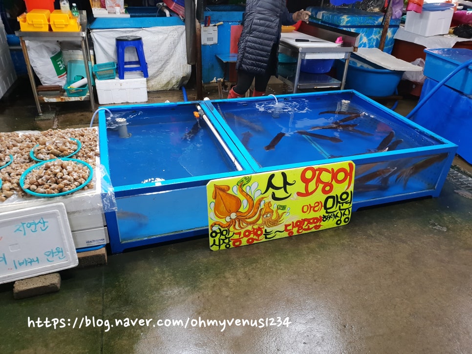 금영수산 이미지