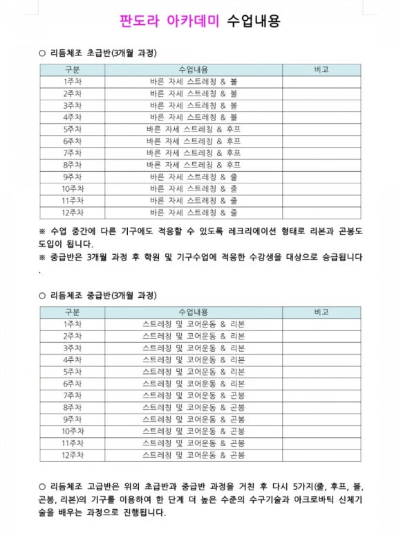 아이코어리듬체조 이미지
