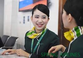 춘추국제여행사 이미지