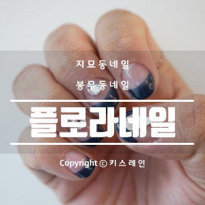 플로라네일 이미지